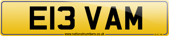 E13 VAM