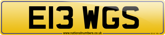 E13 WGS