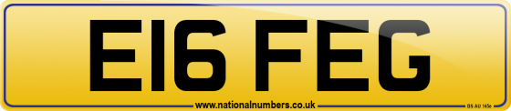 E16 FEG