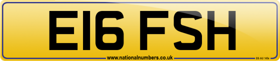 E16 FSH