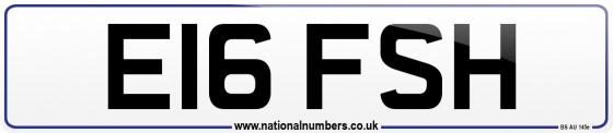 E16 FSH