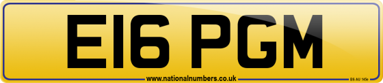 E16 PGM