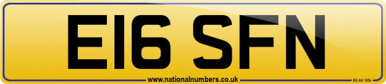 E16 SFN