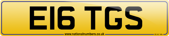 E16 TGS