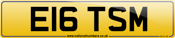 E16 TSM