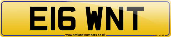 E16 WNT
