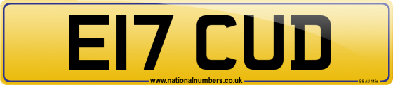 E17 CUD