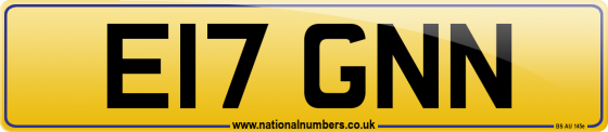 E17 GNN