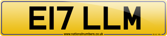 E17 LLM