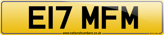 E17 MFM