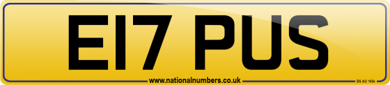 E17 PUS