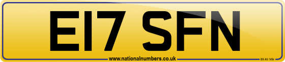 E17 SFN