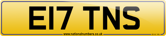 E17 TNS