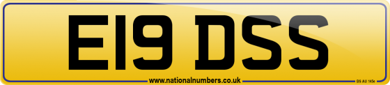 E19 DSS