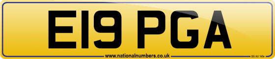 E19 PGA