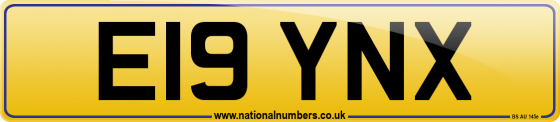 E19 YNX