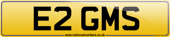 E2 GMS