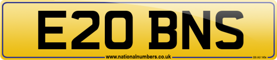 E20 BNS