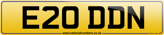 E20 DDN