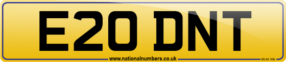 E20 DNT