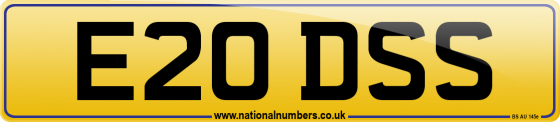 E20 DSS