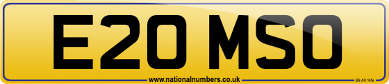 E20 MSO