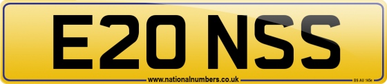 E20 NSS