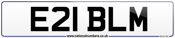 E21 BLM