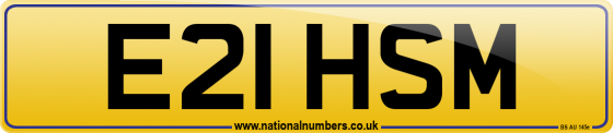 E21 HSM