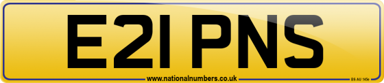 E21 PNS