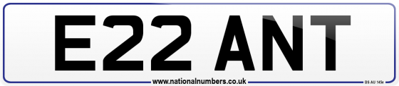 E22 ANT