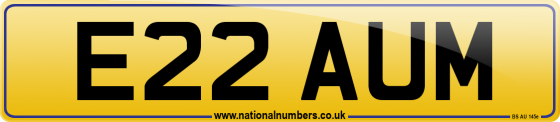 E22 AUM