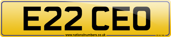 E22 CEO