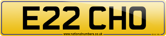 E22 CHO