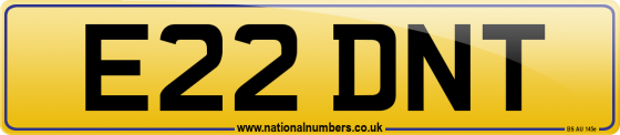 E22 DNT