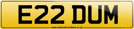 E22 DUM
