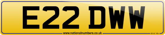 E22 DWW