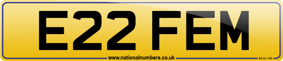 E22 FEM