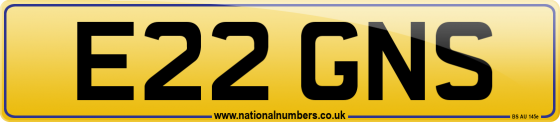 E22 GNS