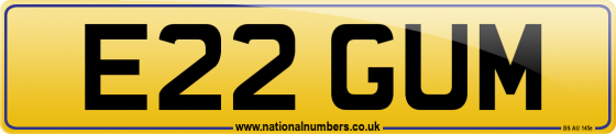 E22 GUM