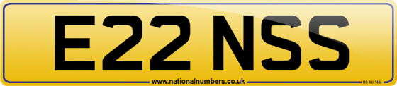 E22 NSS