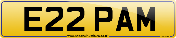 E22 PAM