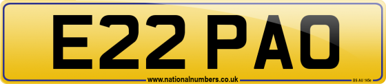E22 PAO