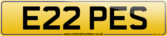 E22 PES