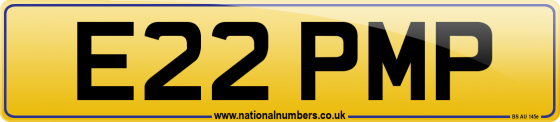 E22 PMP
