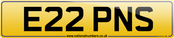 E22 PNS