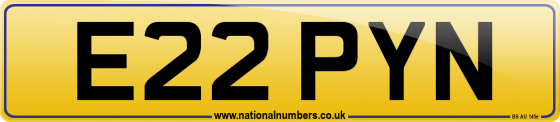 E22 PYN