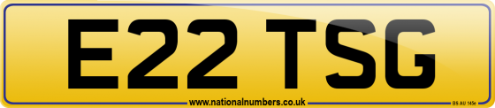 E22 TSG