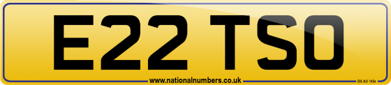 E22 TSO