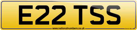 E22 TSS